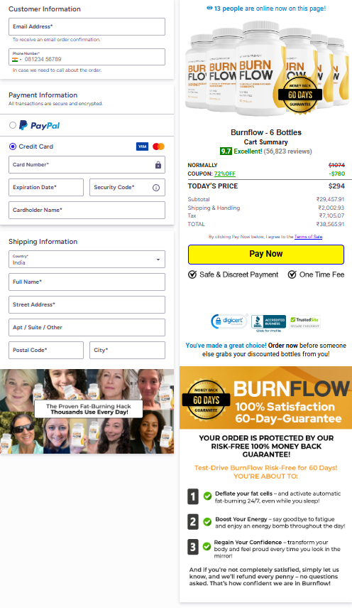 BurnFlow secure checkout page