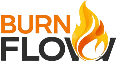BurnFlow Official Logo